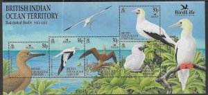 BRITISH INDIAN OCEAN TERR SGMS266 2002  BIRD LIFE  MNH