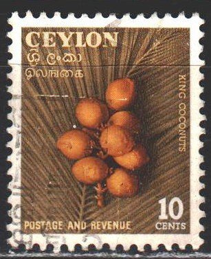 Sri Lanka. 1954. 281. Coconuts, flora. USED.