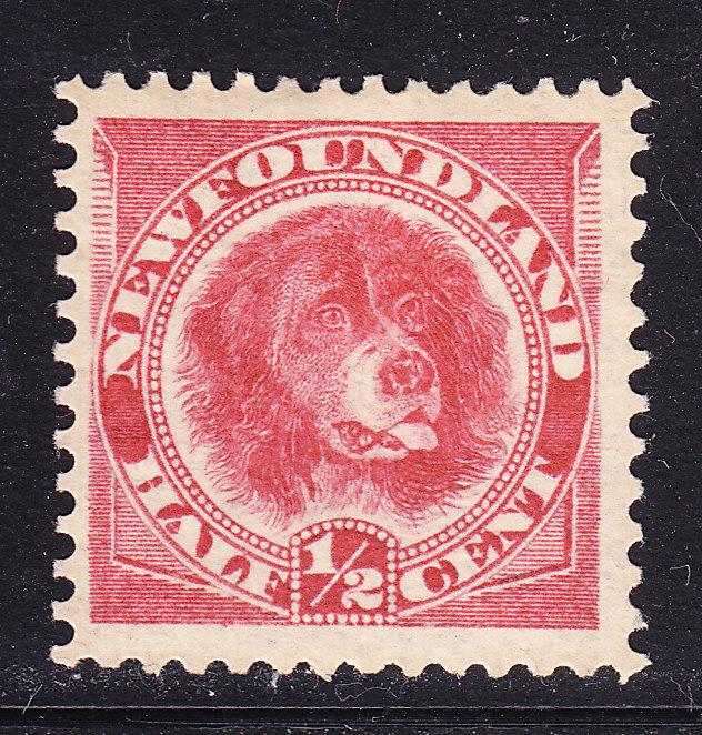 Newfoundland No.56 1/2c red rose DOG VF/Mint(*)