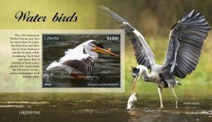 Liberia - 2020 American White Pelican Water Bird - Souvenir Sheet - LIB200517b2