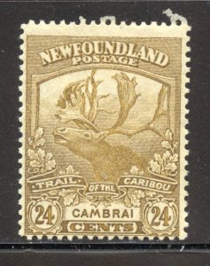 Newfoundland Scott 125 Unused LH - 1919 Trail of the Caribou (Cambrai)