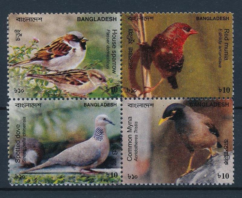 [38974] Bangladesh 2010 Birds Vögel Oiseaux Ucelli   MNH