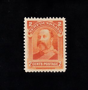 Newfoundland Scott #81 MH