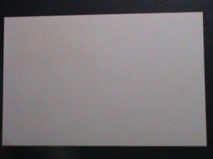 ​UNITED STATES -PC-1979, GEORGE ROGERS CLARK-VINCENNES-1779 MNH POST CARD-VF