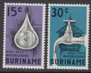 Surinam 395-6 Water Works mnh