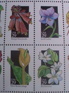 ​UNITED STATES- 1992 SC#2696a- 50 STATE WILD FLOWERS LARGE.-MNH FULL SHEET -VF