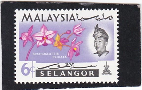 Malaysia,   Selangor   #  124