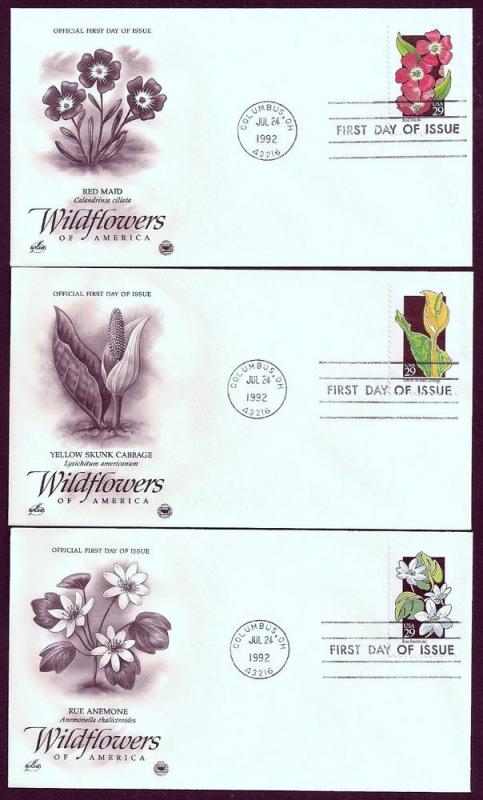 UNITED STATES FDCs (50) 29¢ Wildflowers 1992 Postal Commem