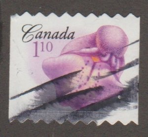 Canada 2196 Marsh Skullcap