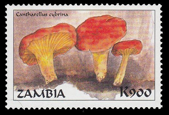 Zambia 745 MNH