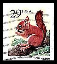 # 2489 USED RED SQUIRREL