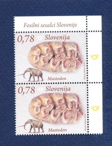 26 - SLOVENIA - - MNH pair - Mastodon Fossil  - 2018