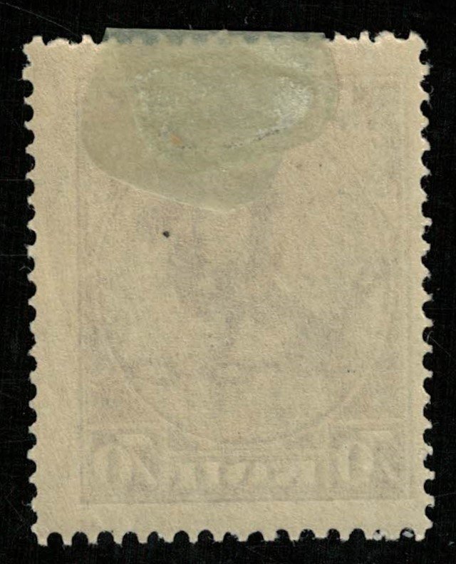 1918, USSR, 70 kop (T-9581)