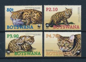 [54017] Botswana 2005 Wild animals Mammals WWF Cat MNH