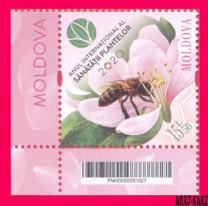 MOLDOVA 2020 International Year Plant Health Flora Fauna Insect Bee on Flower 1v