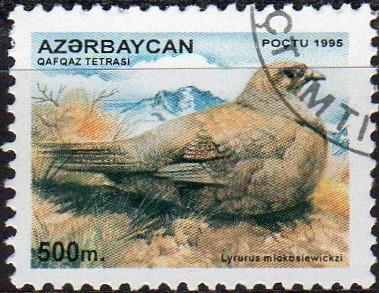 Azerbaijan 544 - Cto - Caucasian Black Grouse (Light) (1995) (cv $1.20)