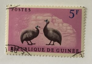 Guinea 1961  Scott 223 CTO - 5fr, Gray-breasted helmet Guinea Fowl, birds