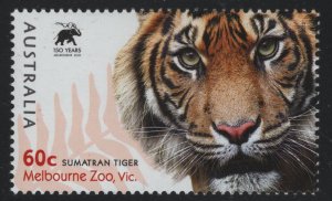 Australia 2012 MNH Sc 3777 60c Sumatran Tiger, Melbourne Zoo