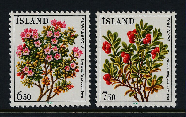 Iceland 593-4 MNH Flowers, Berries
