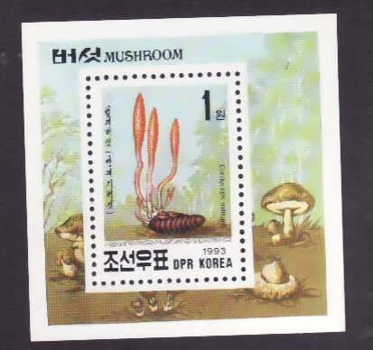 North Korea-Sc#3175-id8-unused NH sheet-Mushrooms-Fungi-1993-