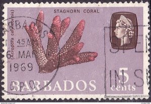 BARBADOS 1966 QEII 5c Sepia, Rose & Lilac, Staghorn Coral SG346 Used