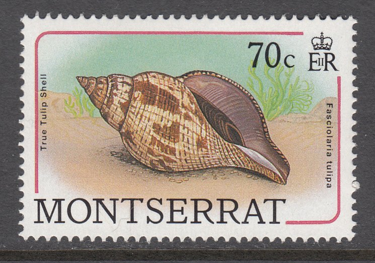 Montserrat 688 Seashells MNH VF