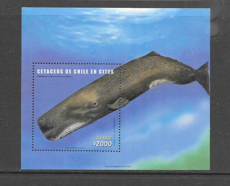 WHALES - CHILE #1415    MNH