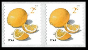 US 5256 Meyer Lemons 2c coil pair MNH 2018