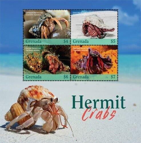 Grenada 2019 - Hermit Crabs - Marine Life - Sheet of 4 Stamps Scott #4328 - MNH