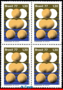 1511 BRAZIL 1977 DEVELOPMENT BANK, BNDE, MI# 1602 RHM C-990, BLOCK MNH