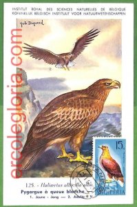 32910 - ALBANIA - MAXIMUM CARD - 1967 - FAUNA, BIRDS-