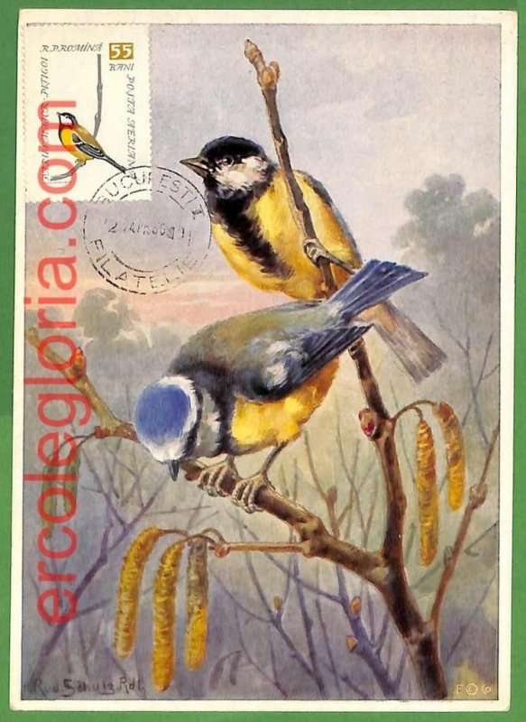 32856 - ROMANIA - MAXIMUM CARD - FAUNA, BIRDS-