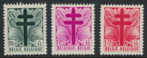 Belgium#B462-4* CV $3.50