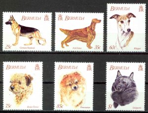 Bermuda Sc# 638-643 MNH 1992 Dogs