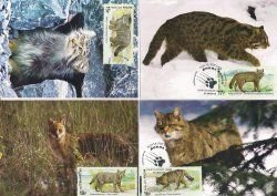 Russia 2014 Rare fauna Wild cats set of 4 Maxicards