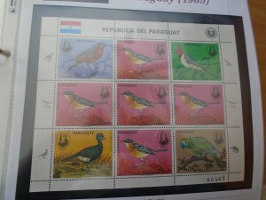 Paraguay   Birds  J J  Audubon  #  2142   MNH   Mini sheet