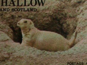 EYNHALLOW-SCOTLAND-WORLD LOVELY ANIMALS MNH SHEET VF- WE SHIP TO WORLD WID