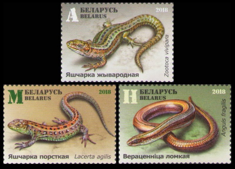 2018 Belarus 1264-1266 Reptiles. Lizards