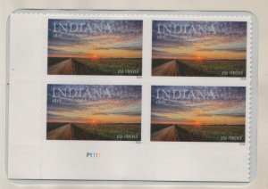 5091 Indiana P1111 LL