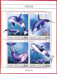 A4605 - SIERRA LEONE - ERROR MISPERF, Miniature sheet: 2019, Orcas, Marine Life