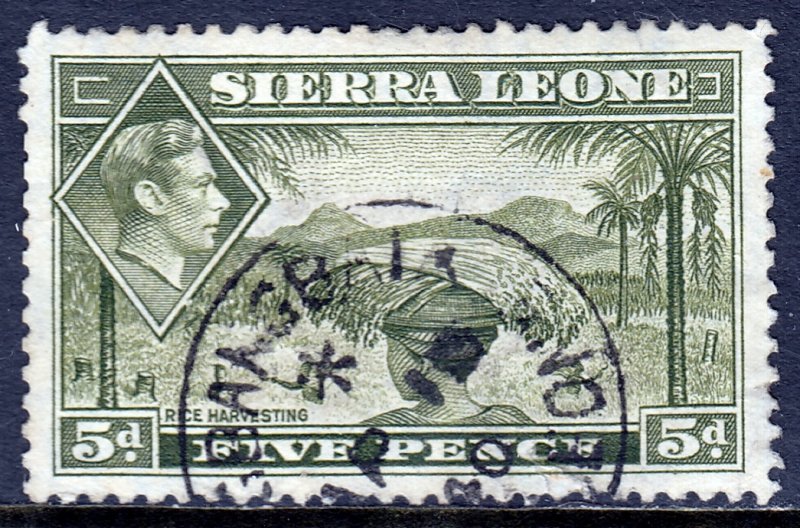 Sierra Leone - Scott #179 - Used - SCV $4.00