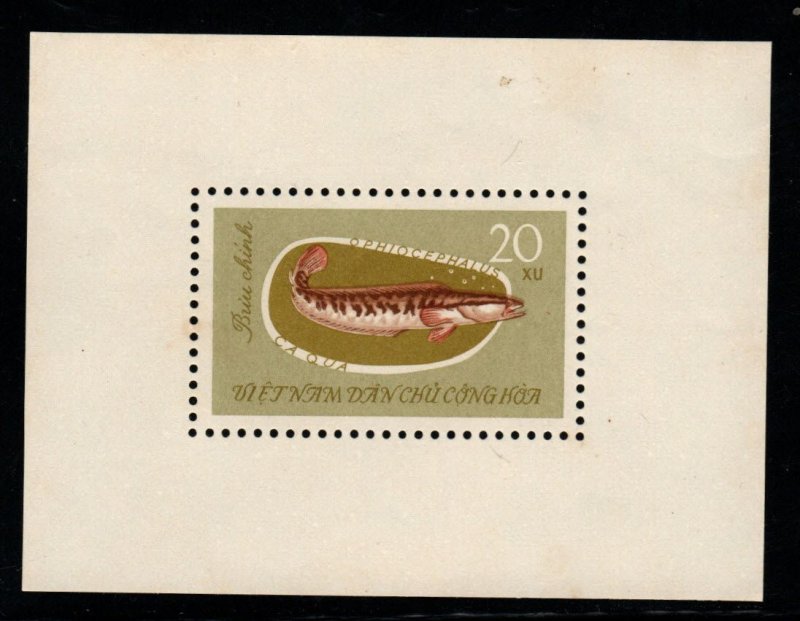 North Vietnam. Scott 267a Fish souvenir sheet