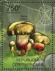 Mushrooms Stamp Boletus Erythropus Suillus Grevillei Calopus S/S MNH #3612-3615 