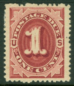 EDW1949SELL : USA 1891 Scott #J22 VF-XF, Mint Original Gum. Jumbo. Catalog $30+