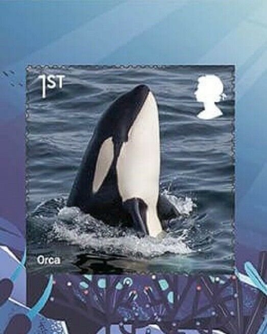 2021 ORCA - WILD COASTS - SG4553 - S/A -  - UNMOUNTED MINT