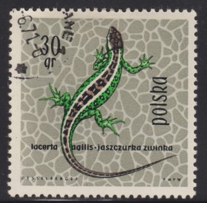 Poland 1134 Sand Lizard 1963