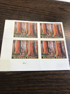 Scott#4378 Redwood Forest/Plate Block of Four MNH-2009