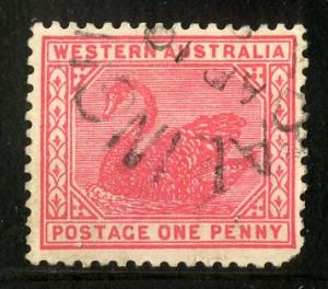 WESTERN AUSTRALIA 76 USED SCV $1.00 BIN $0.40 BIRDS