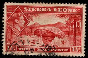 Sierra Leone Scott 175 Used stamp