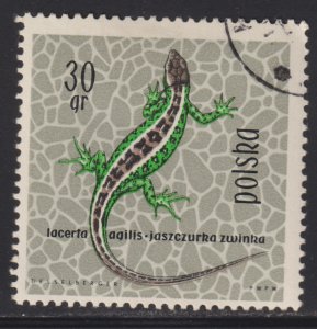 Poland 1134 Sand Lizard 1963